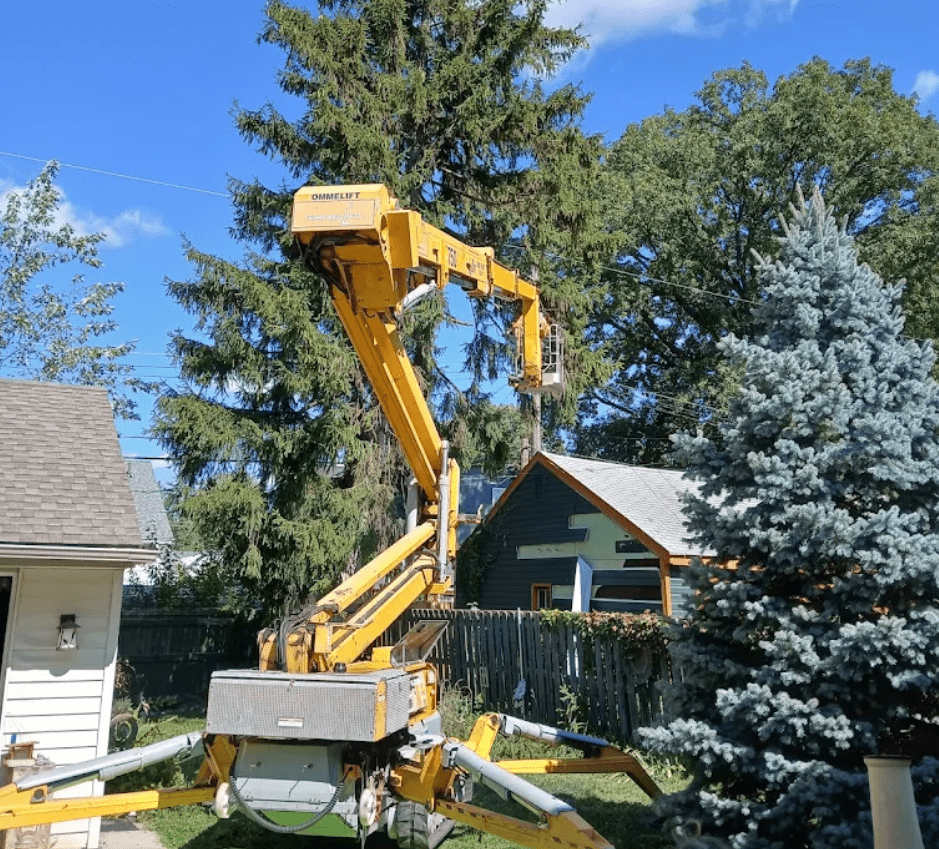 arborist oakland county macomb county tree maintenance viking tree and stump