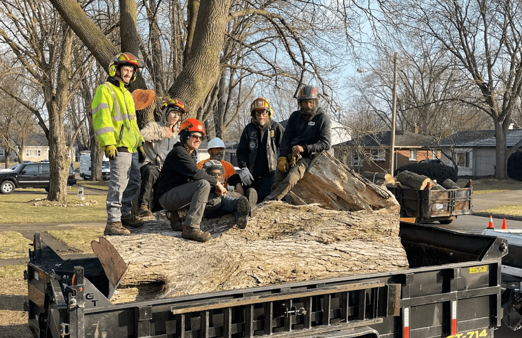 stump grinding and stump removal in michigan