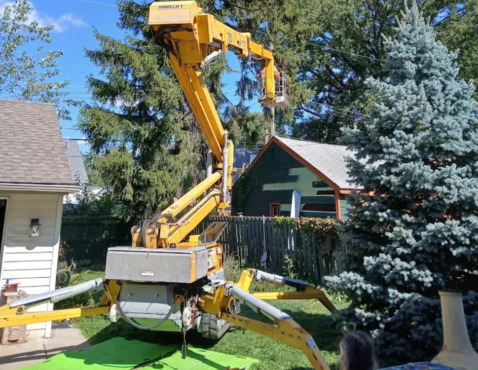 tree removal costs in michigan