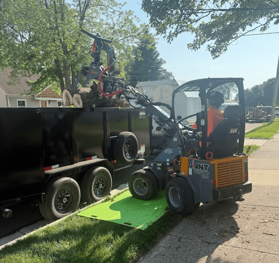 tree services in bloomfield hills michigan