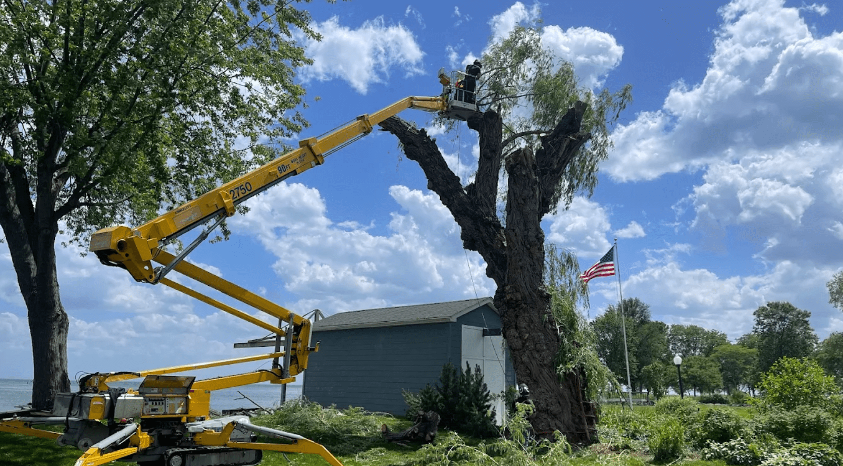 tree services in troy michigan