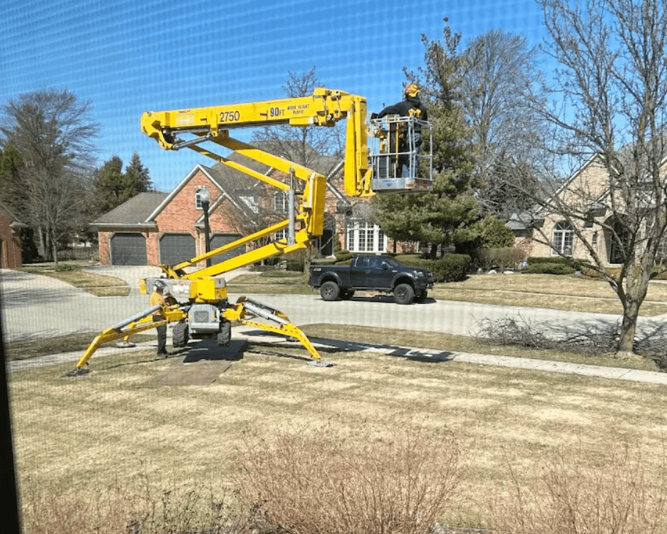 arborist tree services in white lake township michigan