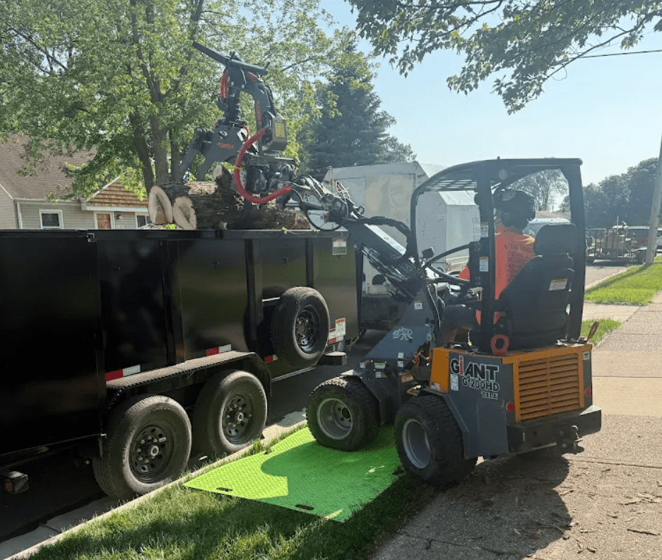 tree storm damage preparation in macomb county michigan