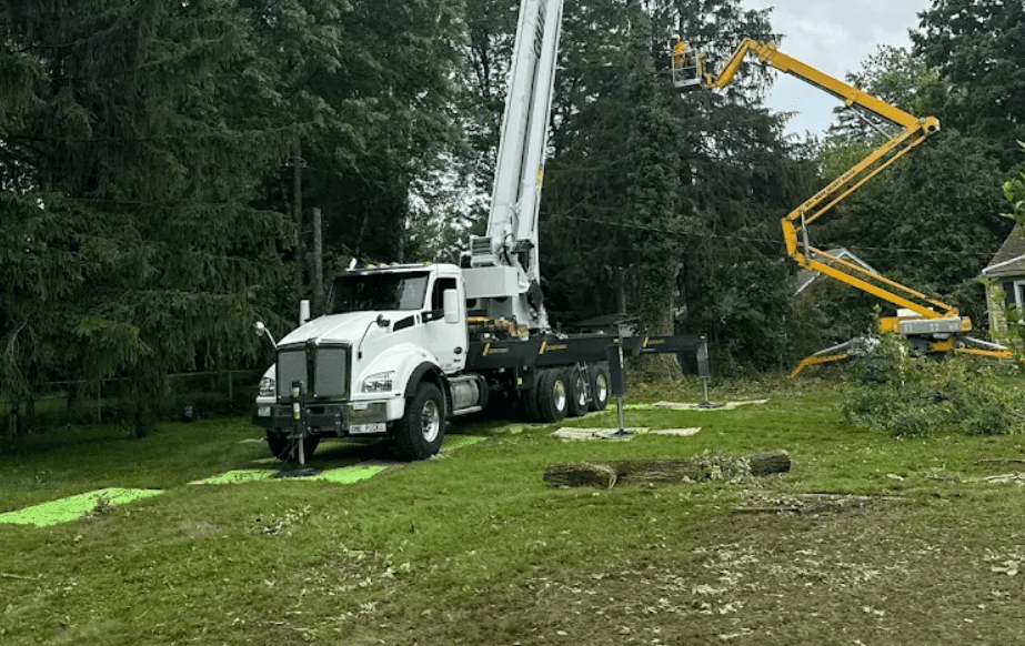tree storm damage preparation in oakland county michigan