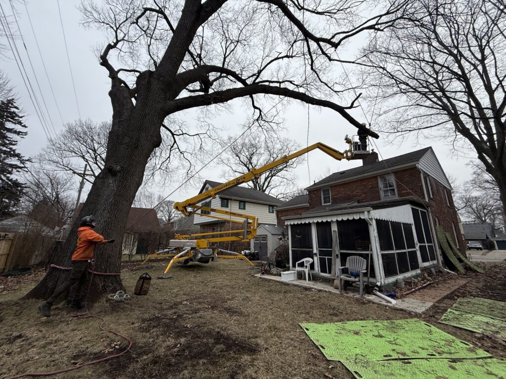 Viking tree removal equipment beside a house