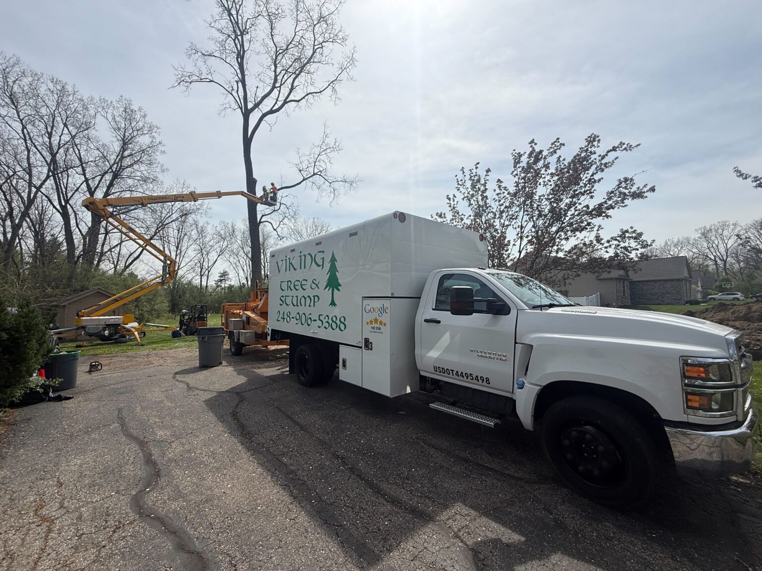 Tree Service in Oakland & Macomb County, MI | Viking Tree & Stump