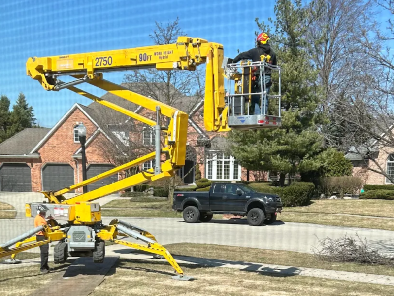 bloomfield hills tree services company