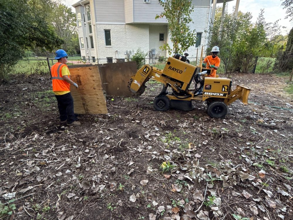 emergency-tree-service-macomb-county-mi