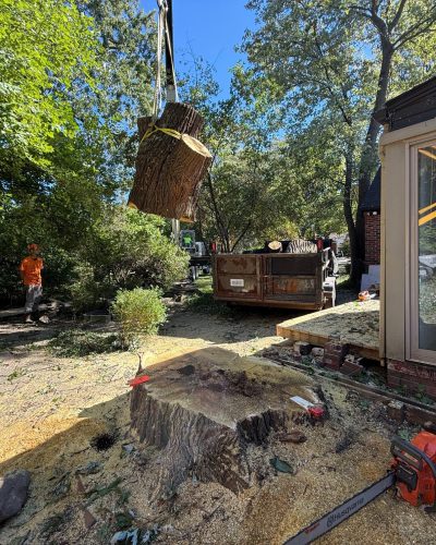 hazardous-tree-removal-oakland-michigan hazardous-tree-removal-oakland-michigan