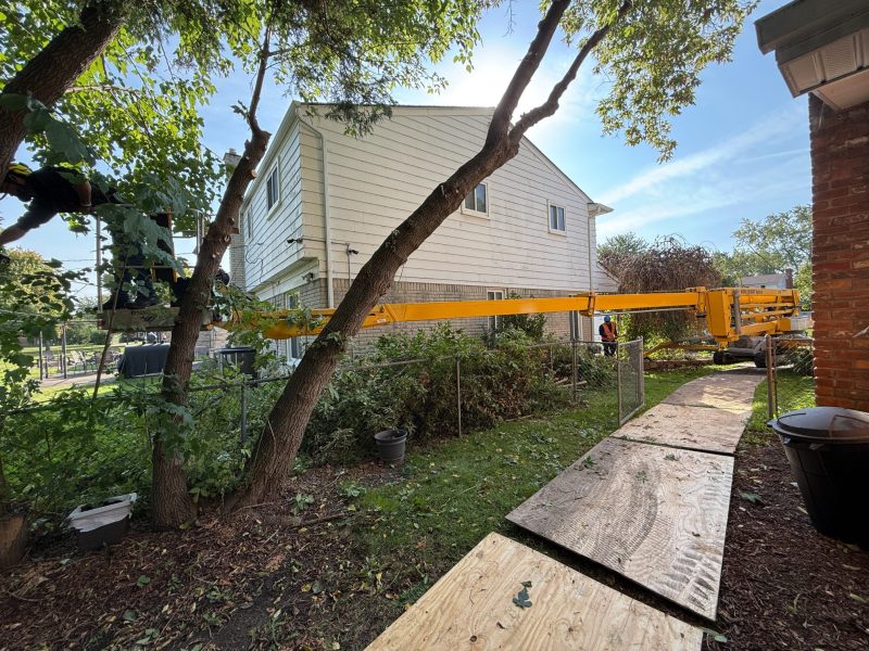 residential-tree-removal-macomb-michigan