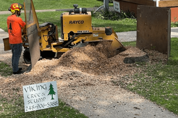stump-grinding-services.png
