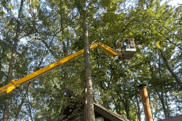 tree-services-company-washington-michigan.png