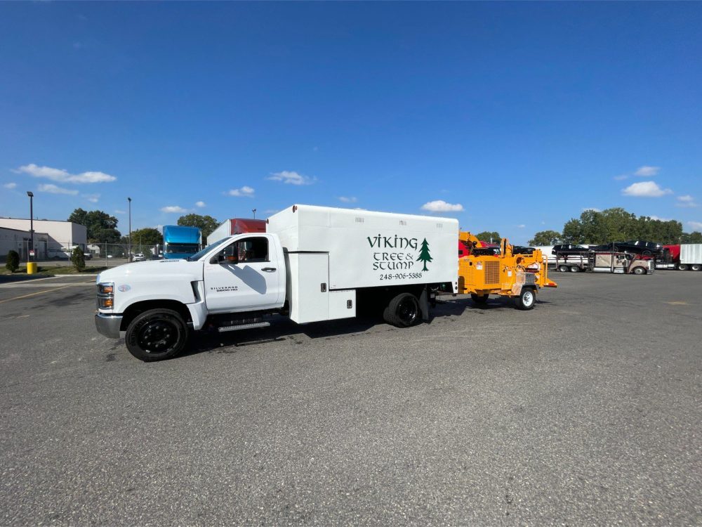 viking tree and stump tree removal work truck